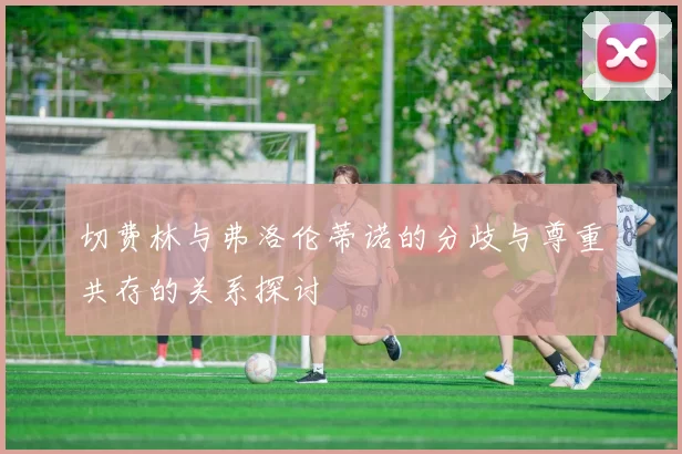 切费林与弗洛伦蒂诺的分歧与尊重共存的关系探讨